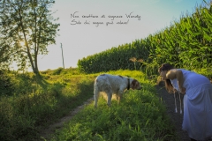 codice: peter_5